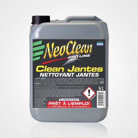 CLEAN JANTES 5L