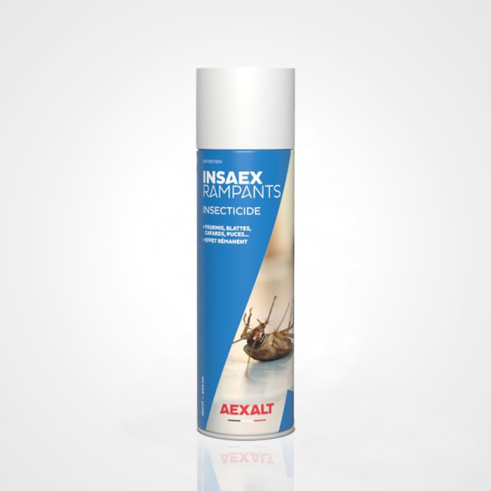 Spray Anti punaise De Lit. Produit Insecticide Puissant 500 Ml